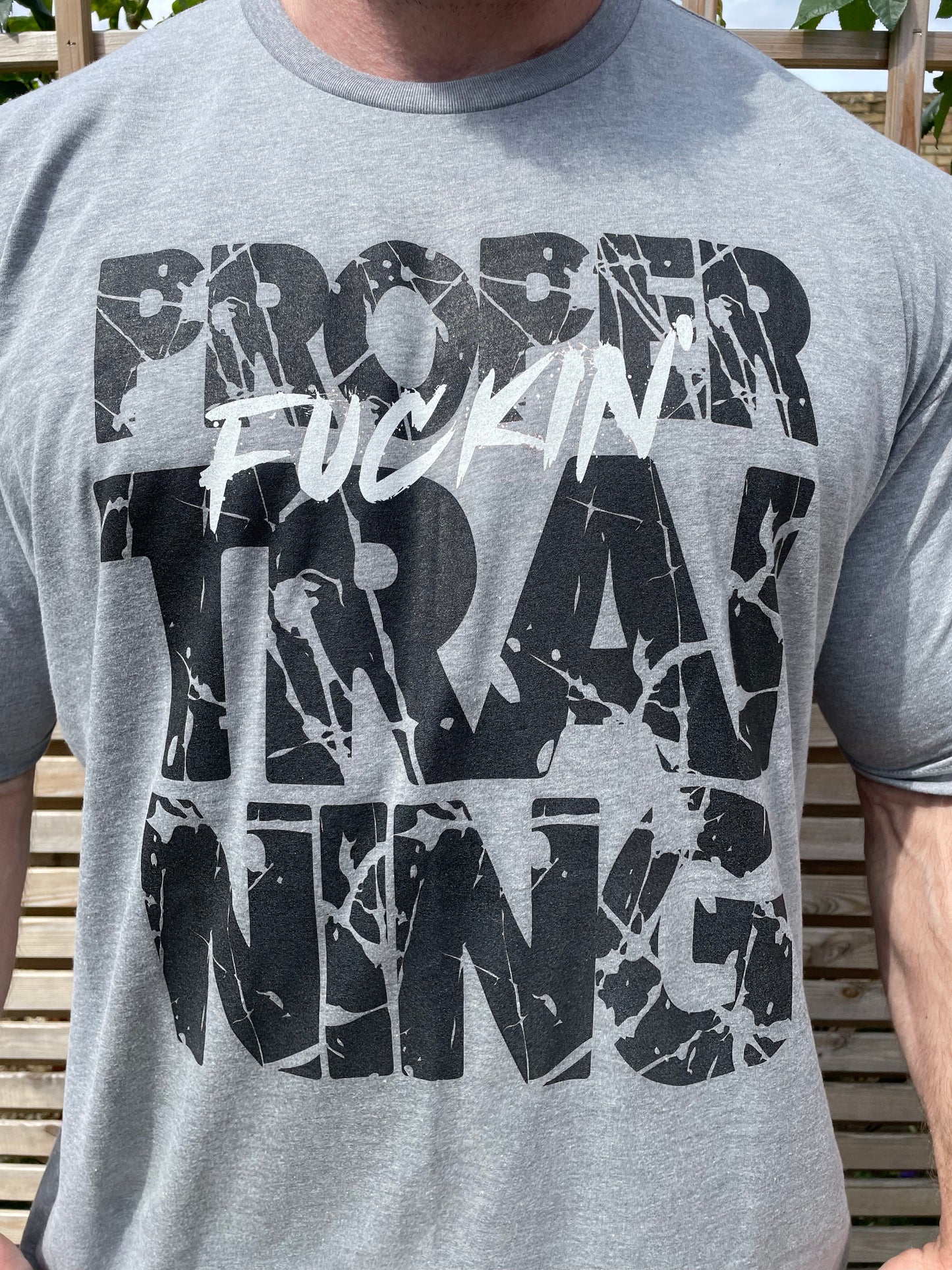 Proper Fu#%in Training - Grey