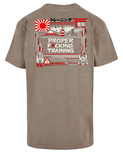 Acid wash oversized tee - PFT JPY